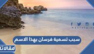 سبب تسمية فرسان بهذا الاسم