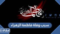 سبب وفاة السيدة فاطمة الزهراء عند السنة