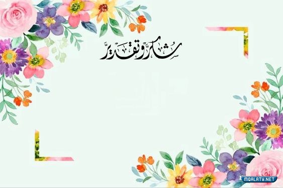 شهادة شكر وتقدير بدون اسم