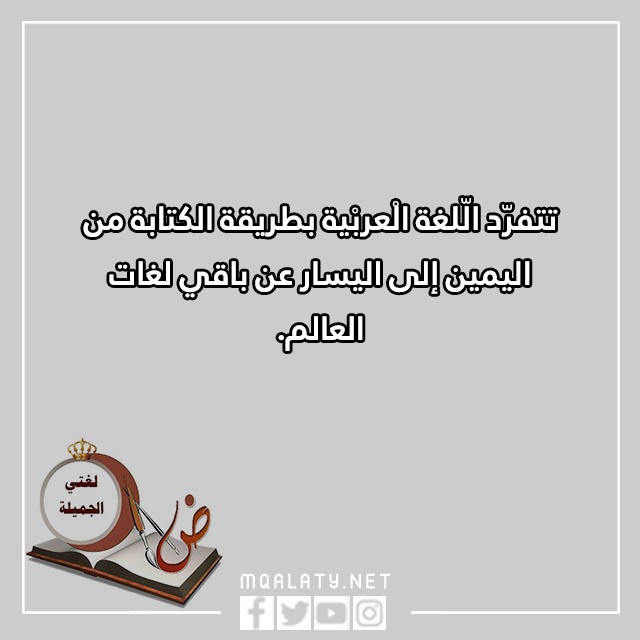 عبارات قصيرة عن اللغة العربية جاهزة للطباعة مع الصور