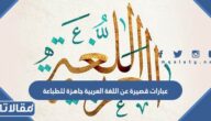عبارات قصيرة عن اللغة العربية جاهزة للطباعة