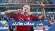 كم عدد اهداف هالاند في مسيرته حتى الان
