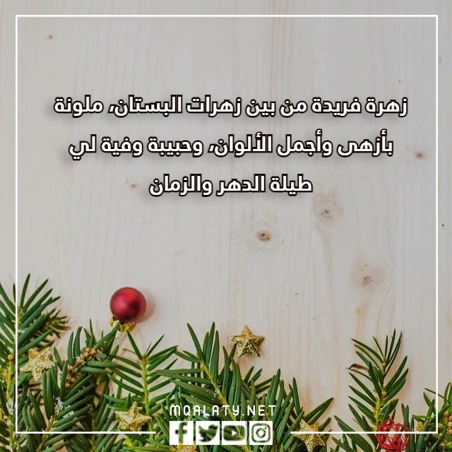 كلام عن السنة الجديدة لحبيبتي بالصور
