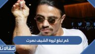 كم تبلغ ثروة الشيف نصرت غوكشيه