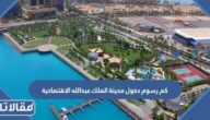 كم رسوم دخول مدينة الملك عبد الله الاقتصادية
