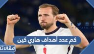 كم عدد أهداف هاري كين خلال مسيرته الكروية