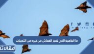 ما الخاصية التي تميز الخفاش من غيره من الثدييات