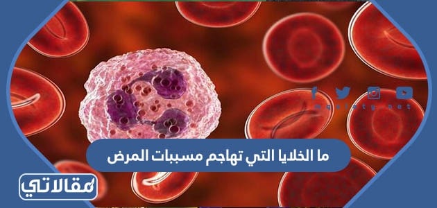 ما الخلايا التي تهاجم مسببات المرض