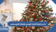 ما سر ارتباط الديك الرومي باحتفال الكريسماس