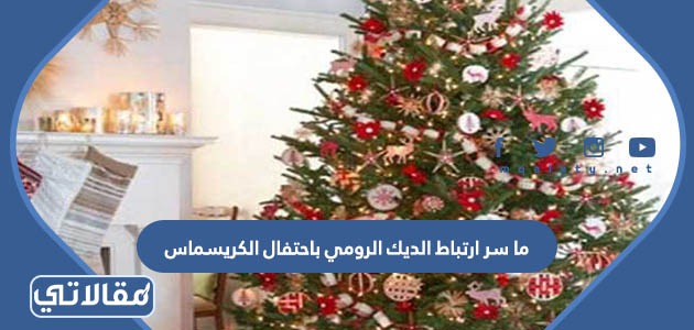 ما سر ارتباط الديك الرومي باحتفال الكريسماس