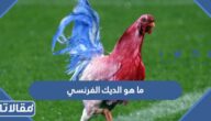 ما هو الديك الفرنسي ولماذا تم اختياره شعار للمنتخب