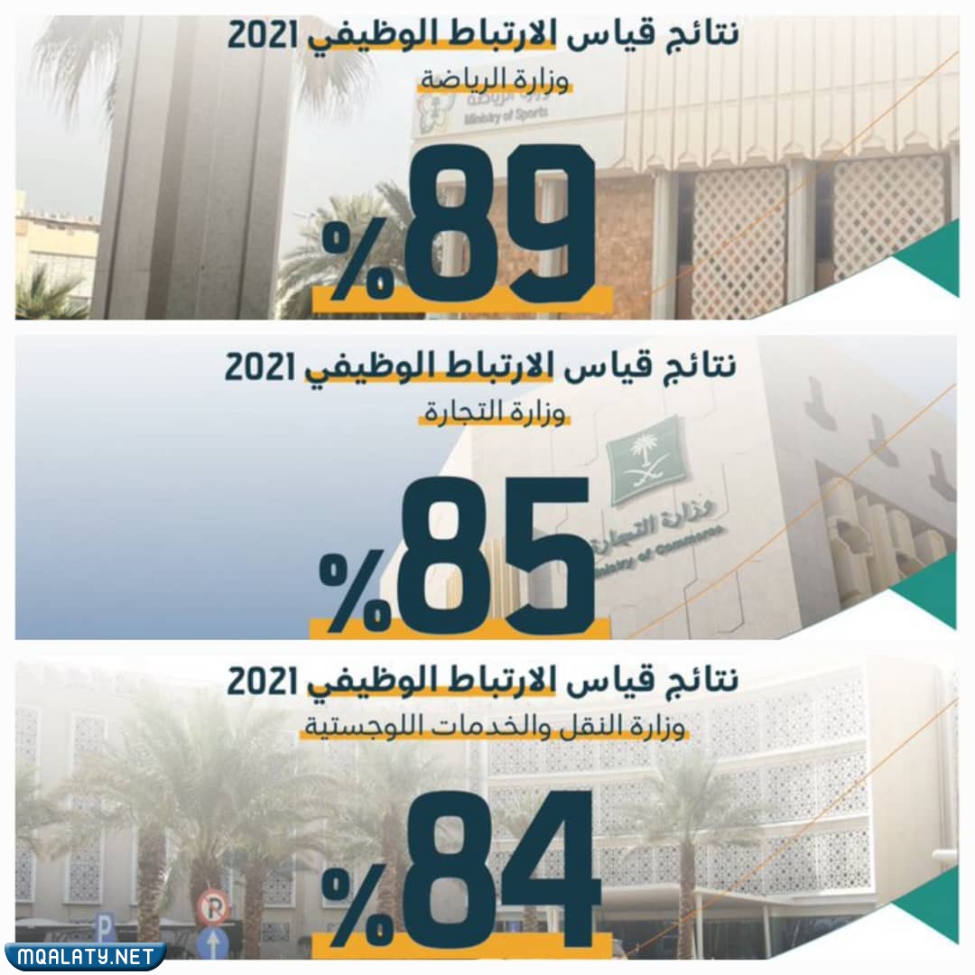 ما هي إنجازات برنامج قياس الارتباط الوظيفي