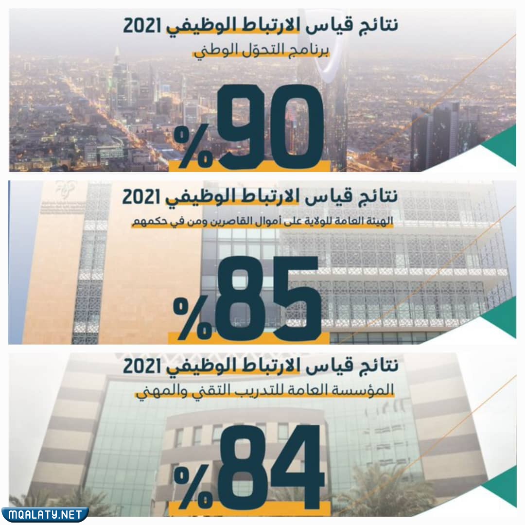 ما هي إنجازات برنامج قياس الارتباط الوظيفي