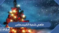 ماهي شجرة الكريسماس وما علاقتها بعيد الميلاد