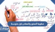 مطوية الصخور والمعادن اول متوسط pdf جاهزة للتحميل