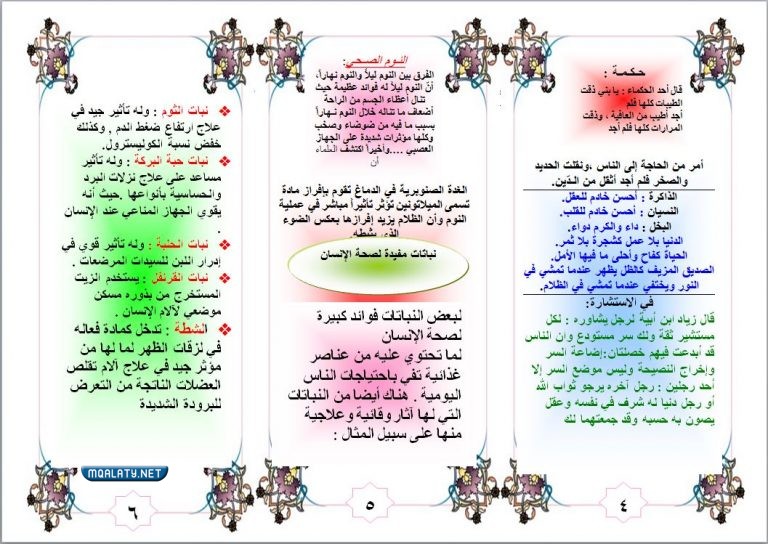 مَطْوِيَّة عَنْ يَوْمِ اللُّغَةِ الْعَرَبِيَّةِ الْعَالَمِيّ 2022 بجودة عالية