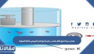 معدل سرعة تدفق الغاز يتناسب عكسيًا مع الجذر التربيعي للكتلة المولية