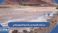 من أهم الأودية في المدينة المنورة وادي