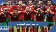 من هم اسود الاطلس