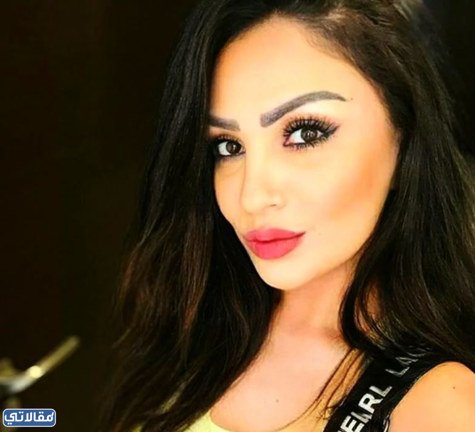 من هي زينة ترحيني ويكيبيديا
