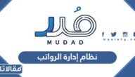 ما هو نظام إدارة الرواتب مدد وكيف يتم تحويل رواتب الموظفين خلاله