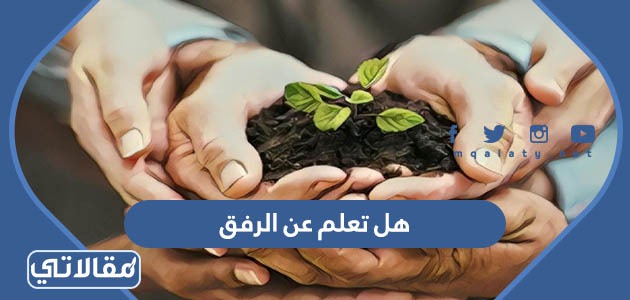 هل تعلم عن الرفق