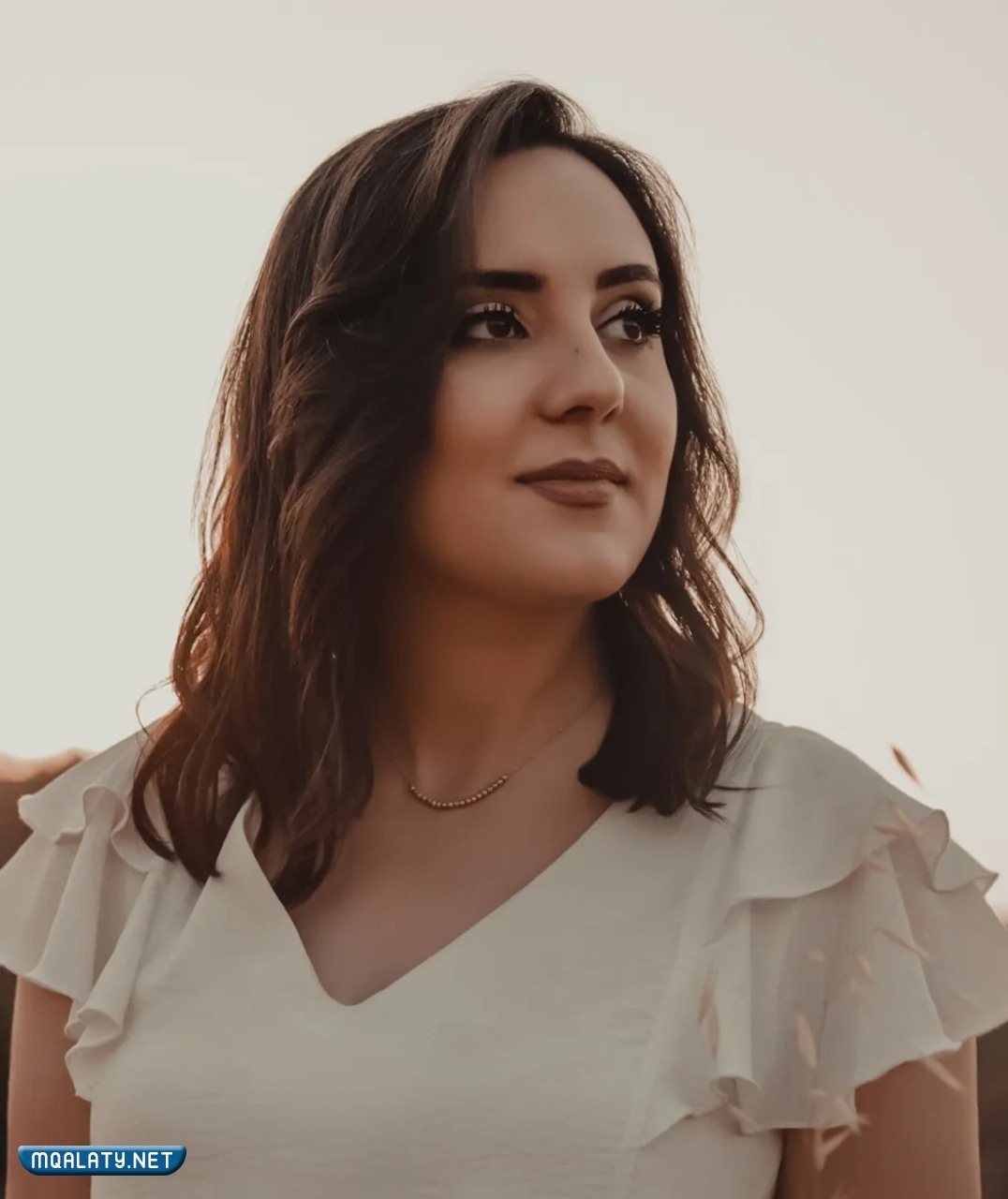 ولاء الجندي السيرة الذاتية
