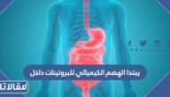 يبتدا الهضم الكيميائي للبروتينات داخل