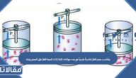 يتناسب حجم الغاز تناسباً طردياً مع عدد مولاته، كلما زادت كمية الغاز فإن الحجم يزداد