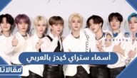 أسماء ستراي كيدز بالعربي وأعمارهم