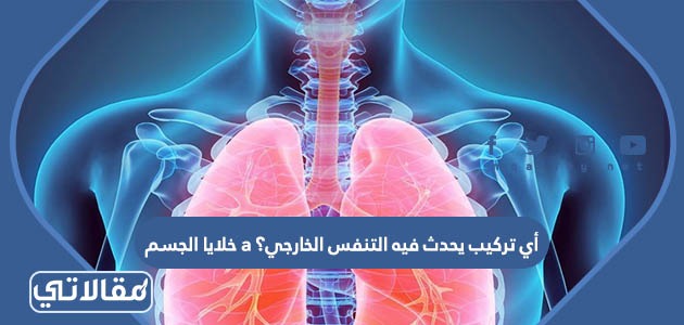 أي تركيب يحدث فيه التنفس الخارجي؟ a خلايا الجسم. b الحويصلات الهوائية. c القلب. d الشعيرات الدموية