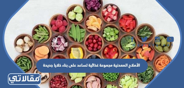 الأملاح المعدنية مجموعة غذائية تساعد على بناء خلايا جديدة