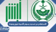 الاستعلام عن تسديد رسوم تأشيرة خروج وعودة 2023