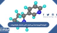 الروابط الأيونية تنشأ بين الذرات التي تتشارك بالإلكترونات