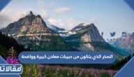 الصخر الذي يتكون من حبيبات معادن كبيرة وواضحة