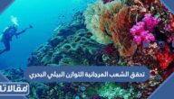 تحقق الشعب المرجانية التوازن البيئي البحري