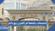 تخصصات جامعة ام القرى ريع ذاخر