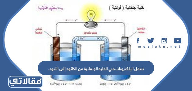 تنتقل الإلكترونات في الخلية الجلفانية من الكاثود إلى الأنود.