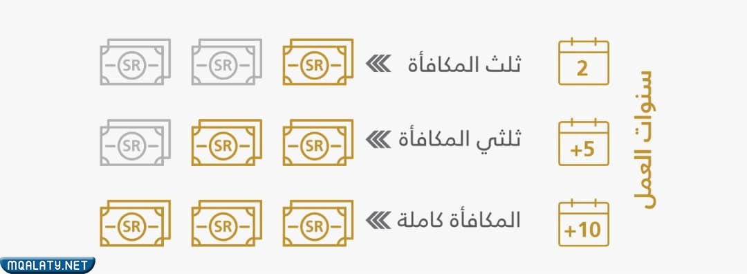 كيف تحسب حقوق نهاية الخدمة