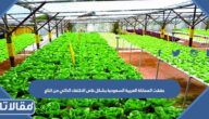 تشارك دول مجلس التعاون الخليجي في حفظ الأمن والسلام الدوليين .