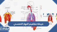 خريطة مفاهيم الجهاز التنفسي pdf جاهزة للتحميل