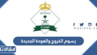 رسوم الخروج والعودة الجديدة