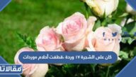 كان على الشجرة 17 وردة ،قطفت أحلام 5 وردات . كم وردة بقيت على الشجرة