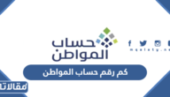 كم رقم حساب المواطن الموحد المجاني
