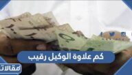 كم علاوة الوكيل رقيب السنوية في السعودية 1446 وموعد نزولها