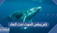 كم يبقى الحوت تحت الماء