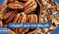 كم يبلغ عدد شجر الجوزيات
