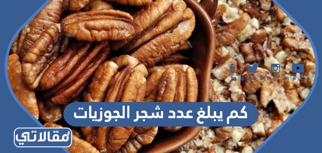 كم يبلغ عدد شجر الجوزيات