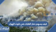 كيف يسهم دمار الغابات في تلوث الهواء