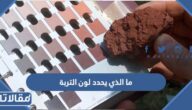 ما الذي يحدد لون التربة